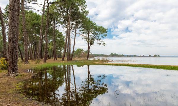 Habiter dans les Landes - Choisir sa ville