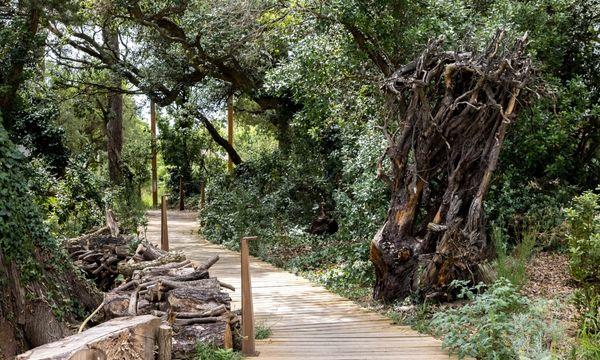 Les atouts des écoquartiers pour un investissement immobilier